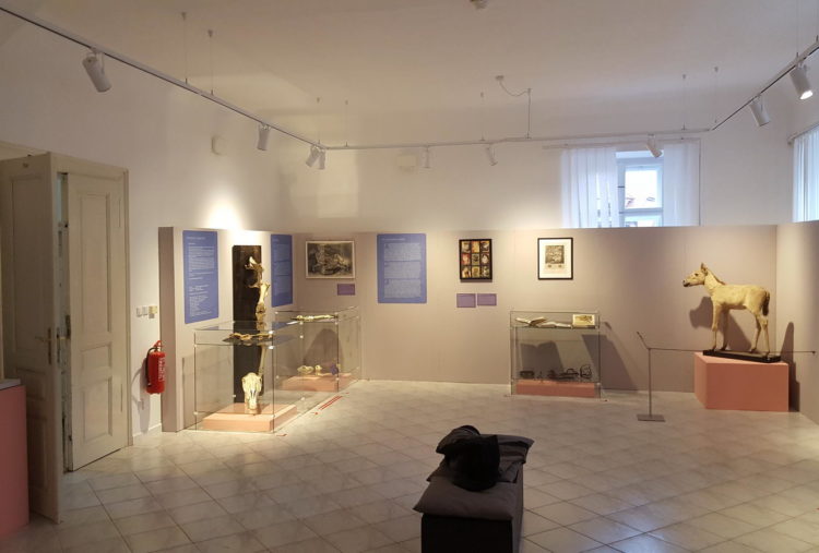 Muzeum Šlapanice